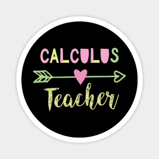 Calculus Teacher Gift Idea Magnet